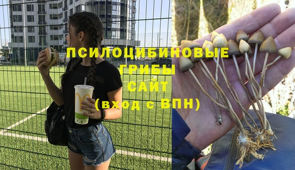 a pvp Алексеевка