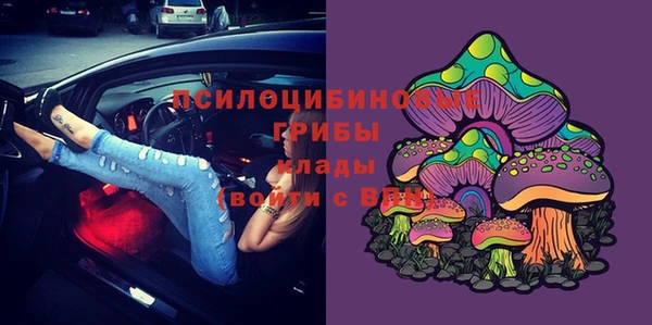 a pvp Алексеевка