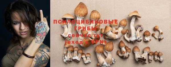 прущие крисы Касимов