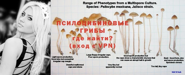 a pvp Алексеевка