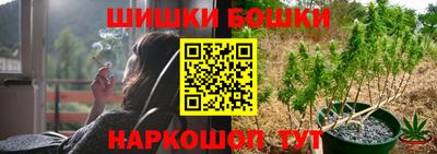 мдпв Обнинск