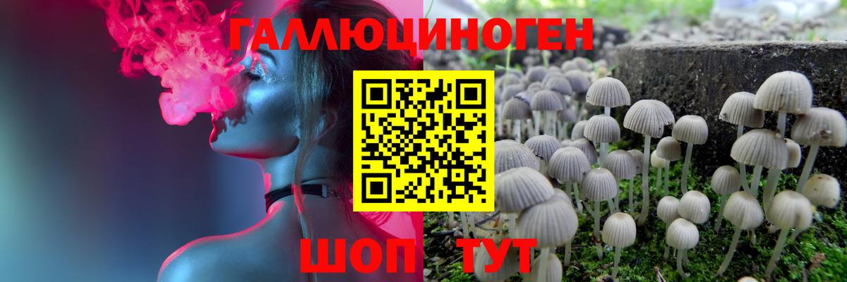 Галлюциногенные грибы мухоморы  Псилоцибиновые грибы Psilocybine cubensis  Вход с VPN  Чебоксары 